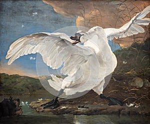 The threatened swan, painting by Jan Asselijn photo